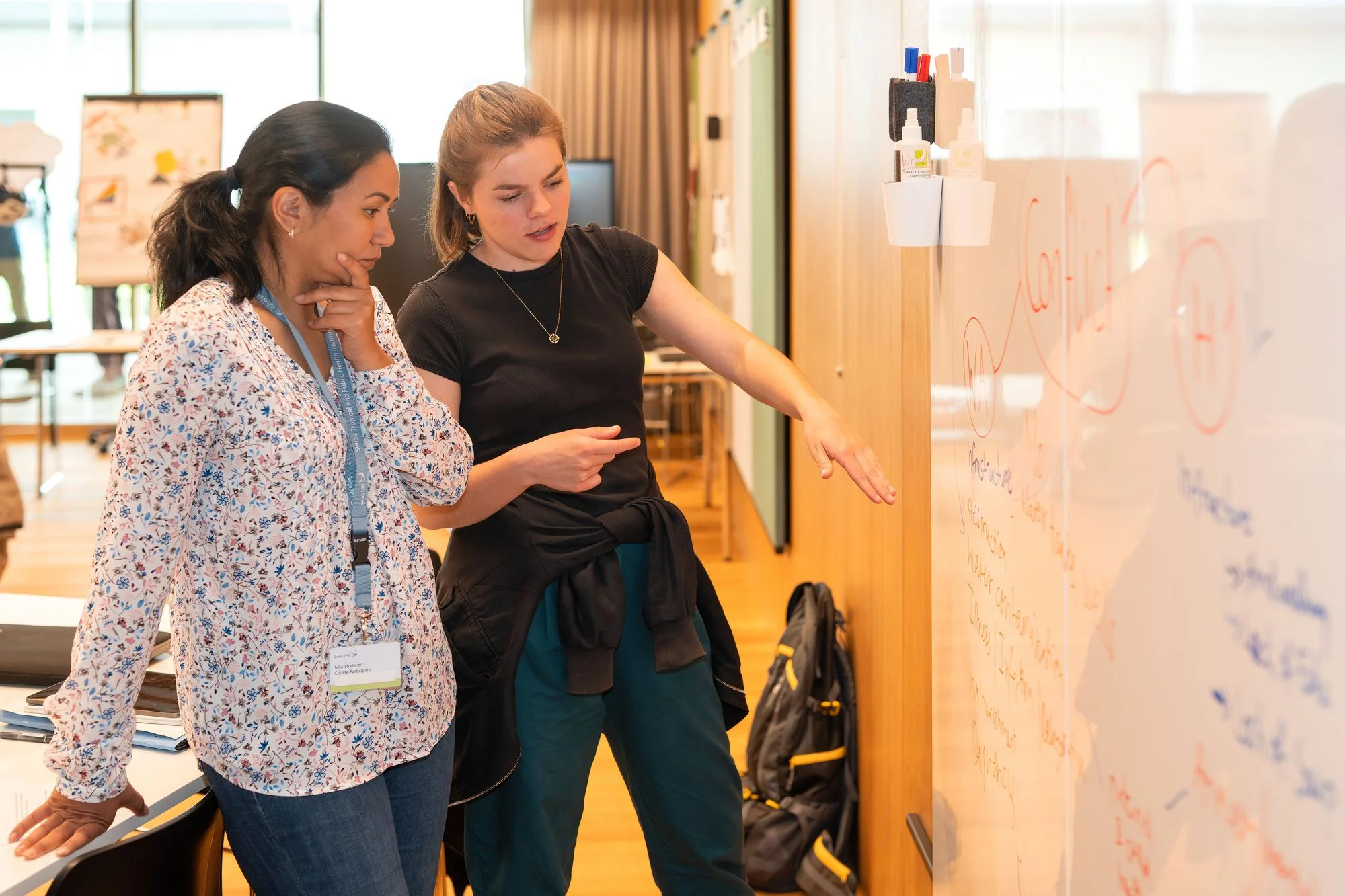 Organizations that bring science to impact – new actors for Sustainable Development?